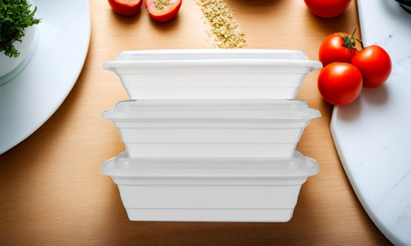 What are the advantages and disadvantages of disposable lunch boxes?